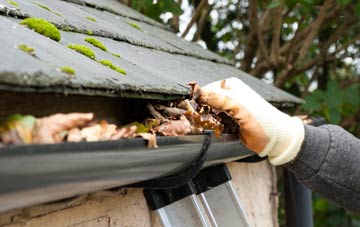 gutter cleaning Loudwater